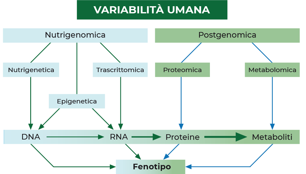 epiegenetica